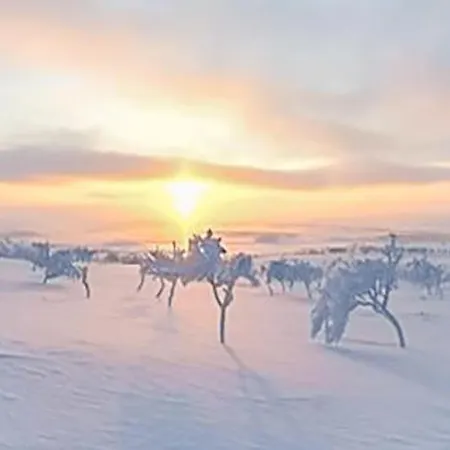 Karetoermae By Interhome Tatil Evi *